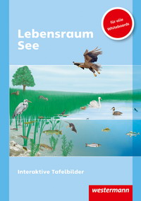 Image for Lebensraum See – Interaktive Tafelbilder - Sachunterricht