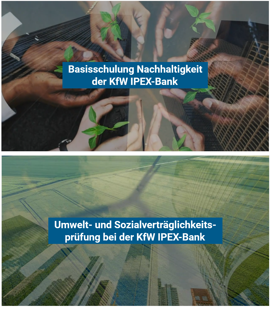 Image for KfW IPEX Bank – Core elements of Sustainability und Environmental and Social Due Diligence