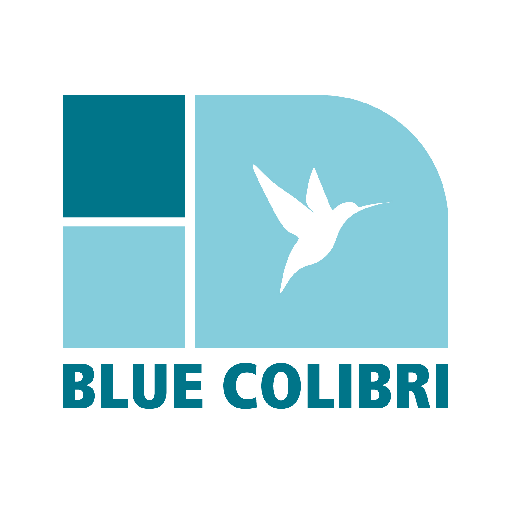 Image for Blue Colibri